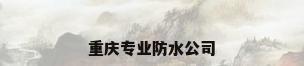 重庆专业防水公司