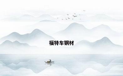 福特车钢材