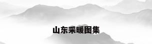 山东采暖图集