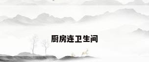 厨房连卫生间