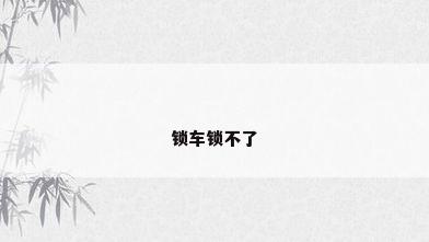锁车锁不了