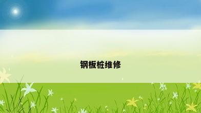 钢板桩维修