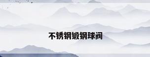 不锈钢锻钢球阀