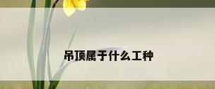 吊顶属于什么工种