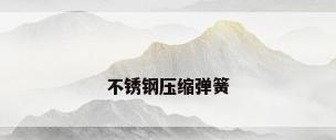 不锈钢压缩弹簧