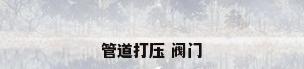 管道打压 阀门