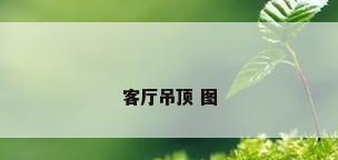 客厅吊顶 图