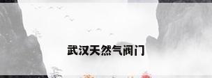 武汉天然气阀门