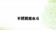 不锈钢雨水斗