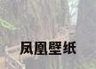 凤凰壁纸