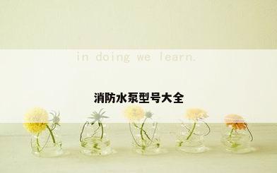 消防水泵型号大全