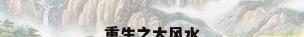 重生之大风水