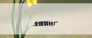 全国钢材厂