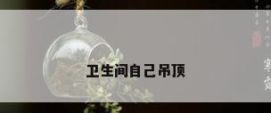 卫生间自己吊顶