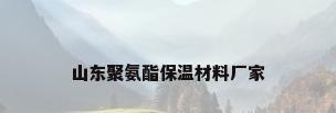 山东聚氨酯保温材料厂家