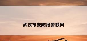 武汉市安防报警联网
