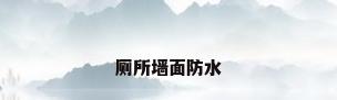 厕所墙面防水