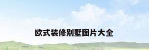 欧式装修别墅图片大全