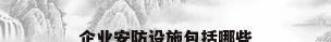 企业安防设施包括哪些