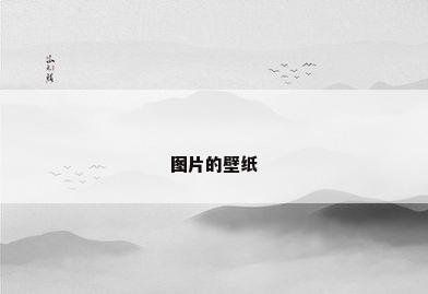 图片的壁纸