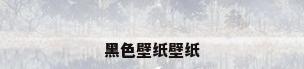 黑色壁纸壁纸