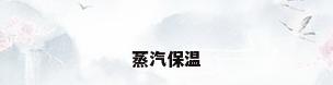 蒸汽保温