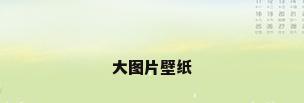 大图片壁纸