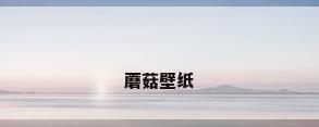 蘑菇壁纸