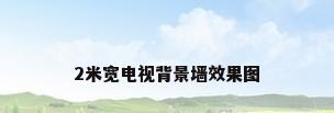 2米宽电视背景墙效果图