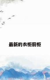 最新的衣柜厨柜