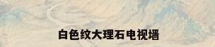 白色纹大理石电视墙