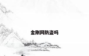 金刚网防盗吗