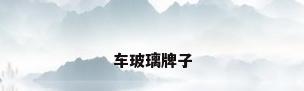 车玻璃牌子
