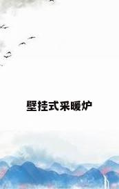 壁挂式采暖炉