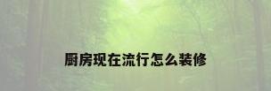 厨房现在流行怎么装修