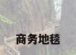 商务地毯