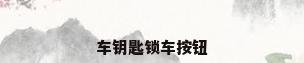 车钥匙锁车按钮