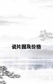 瓷片图及价格