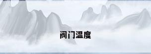 阀门温度