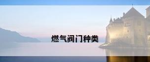 燃气阀门种类