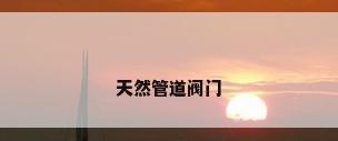 天然管道阀门