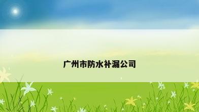 广州市防水补漏公司