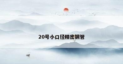 20号小口径精密钢管