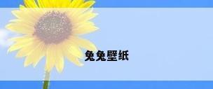 兔兔壁纸