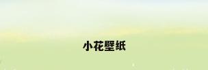 小花壁纸