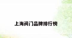 上海阀门品牌排行榜
