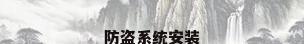 防盗系统安装