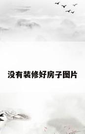 没有装修好房子图片