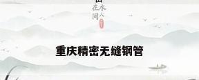 重庆精密无缝钢管