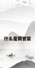 什么是钢管架